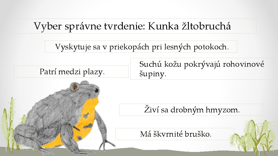 Vyber správne tvrdenie: Kunka žltobruchá Vyskytuje sa v priekopách pri lesných potokoch. Patrí medzi