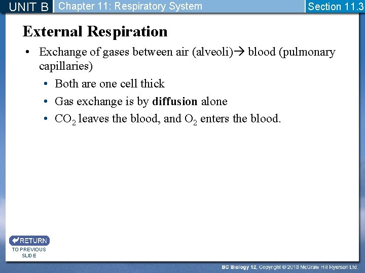 UNIT B Chapter 11: Respiratory System Section 11. 3 External Respiration • Exchange of