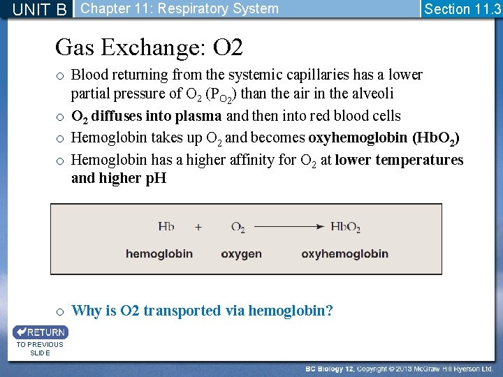 UNIT B Chapter 11: Respiratory System Section 11. 3 Gas Exchange: O 2 o