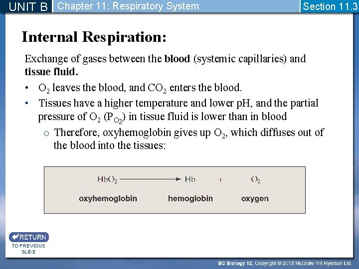 UNIT B Chapter 11: Respiratory System Section 11. 3 Internal Respiration: Exchange of gases
