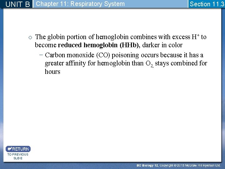 UNIT B Chapter 11: Respiratory System Section 11. 3 o The globin portion of