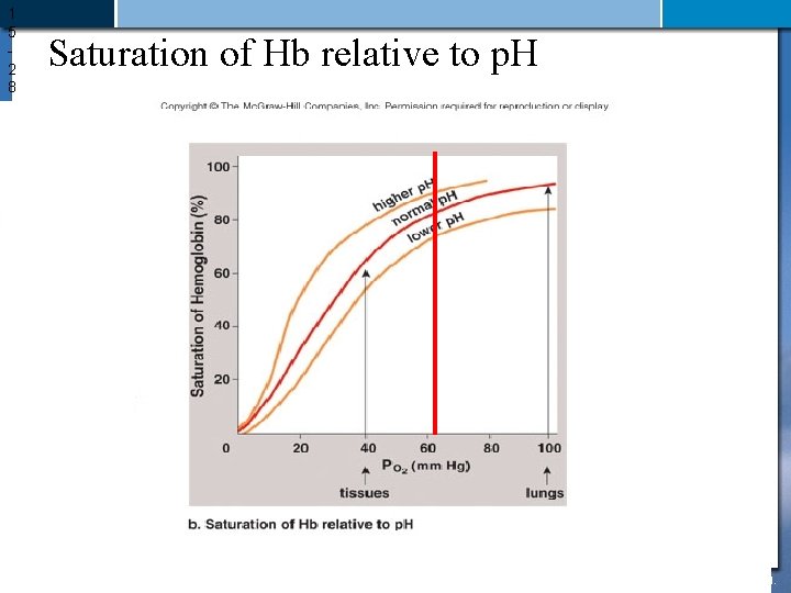 1 5 2 8 Saturation of Hb relative to p. H 