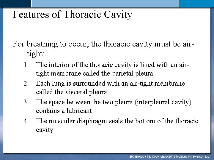 Features of Thoracic Cavity For breathing to occur, the thoracic cavity must be airtight: