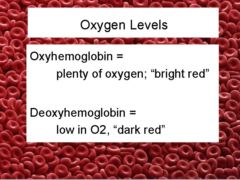 Oxygen Levels Oxyhemoglobin = plenty of oxygen; “bright red” Deoxyhemoglobin = low in O