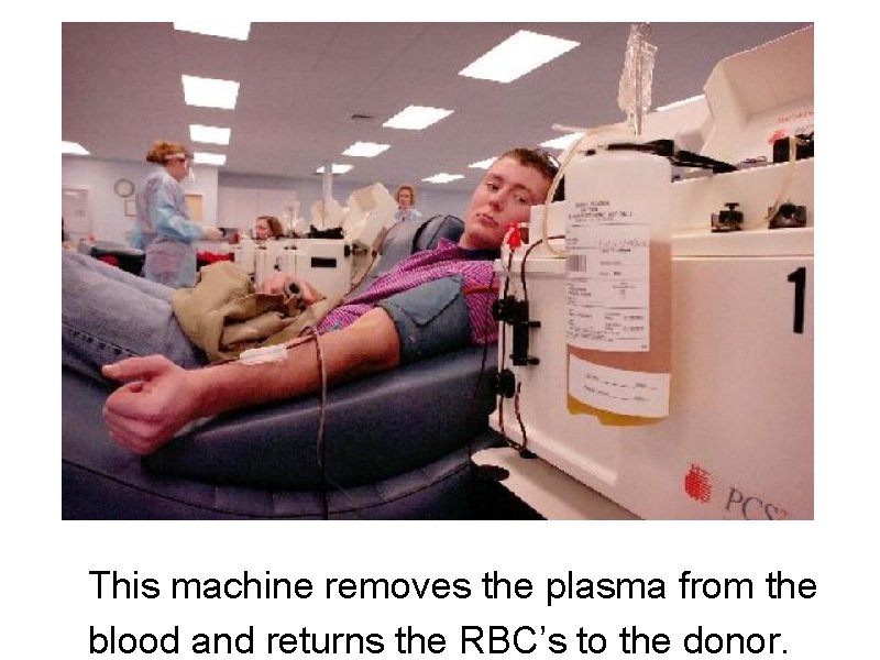 This machine removes the plasma from the blood and returns the RBC’s to the
