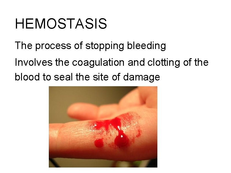HEMOSTASIS The process of stopping bleeding Involves the coagulation and clotting of the blood