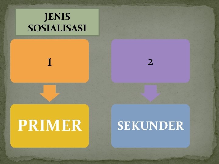 JENIS SOSIALISASI 1 2 PRIMER SEKUNDER 