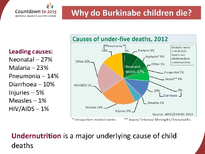 Why do Burkinabe children die? Leading causes: Neonatal – 27% Malaria – 23% Pneumonia