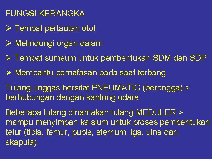 FUNGSI KERANGKA Ø Tempat pertautan otot Ø Melindungi organ dalam Ø Tempat sumsum untuk