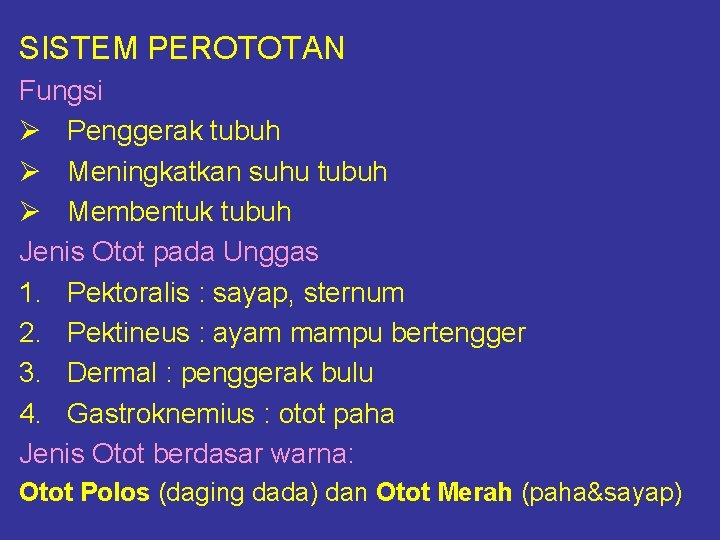 SISTEM PEROTOTAN Fungsi Ø Penggerak tubuh Ø Meningkatkan suhu tubuh Ø Membentuk tubuh Jenis