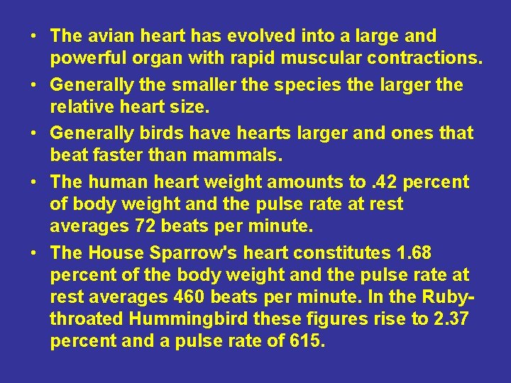 • The avian heart has evolved into a large and powerful organ with