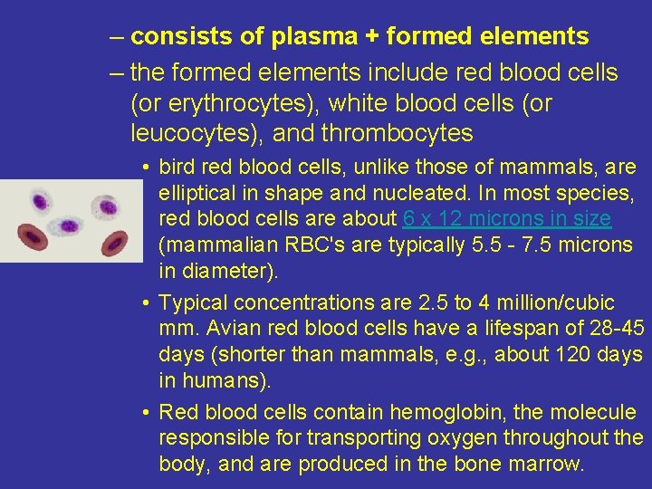 – consists of plasma + formed elements – the formed elements include red blood