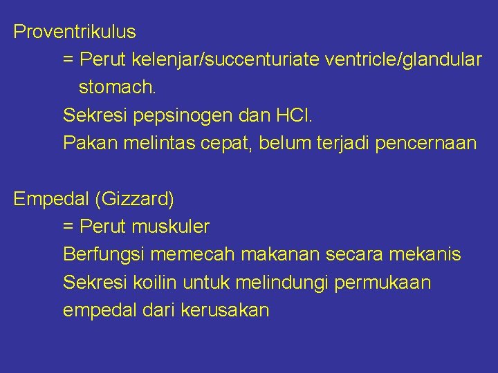 Proventrikulus = Perut kelenjar/succenturiate ventricle/glandular stomach. Sekresi pepsinogen dan HCl. Pakan melintas cepat, belum