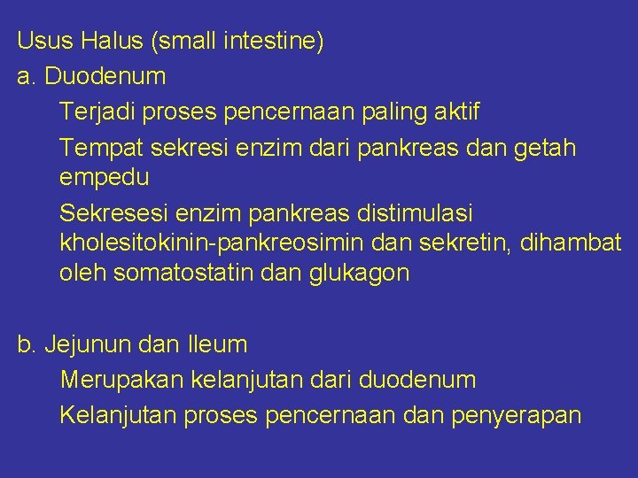 Usus Halus (small intestine) a. Duodenum Terjadi proses pencernaan paling aktif Tempat sekresi enzim