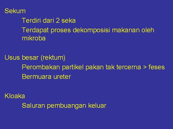 Sekum Terdiri dari 2 seka Terdapat proses dekomposisi makanan oleh mikroba Usus besar (rektum)