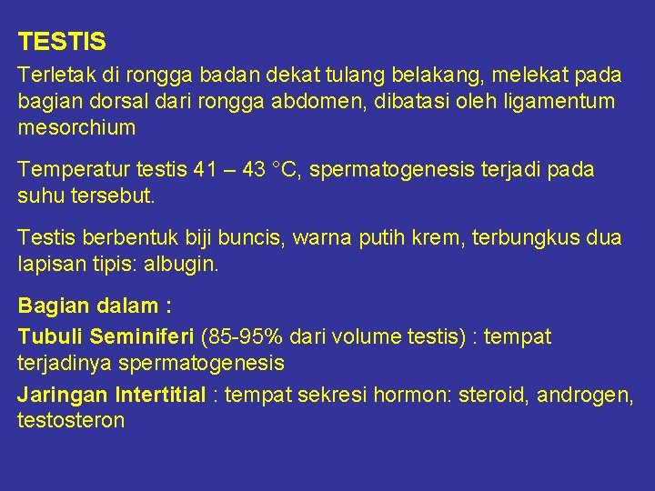 TESTIS Terletak di rongga badan dekat tulang belakang, melekat pada bagian dorsal dari rongga