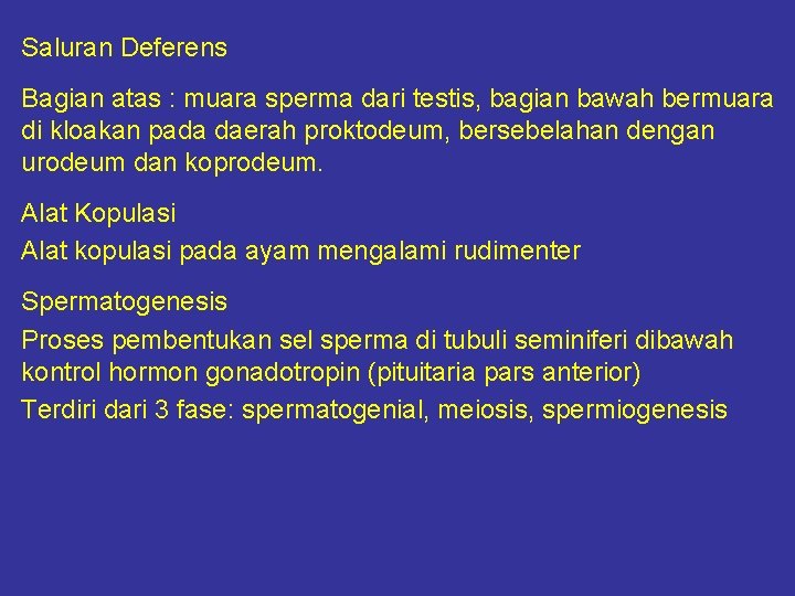 Saluran Deferens Bagian atas : muara sperma dari testis, bagian bawah bermuara di kloakan