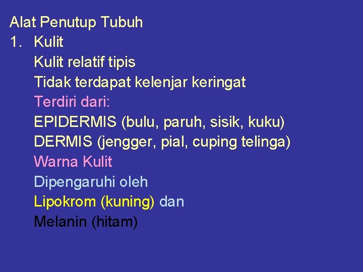 Alat Penutup Tubuh 1. Kulit relatif tipis Tidak terdapat kelenjar keringat Terdiri dari: EPIDERMIS