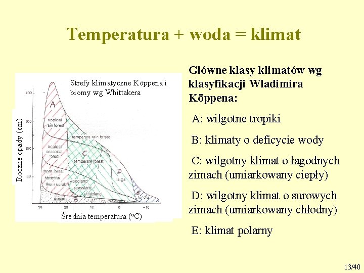 Kl 7 Sprawdzian Klimat I Gleby