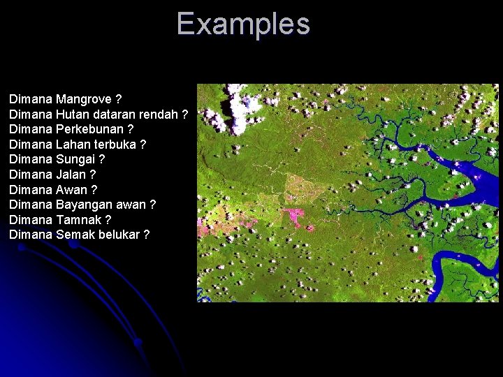 Examples Dimana Mangrove ? Dimana Hutan dataran rendah ? Dimana Perkebunan ? Dimana Lahan Examples Dimana Mangrove ? Dimana Hutan dataran rendah ? Dimana Perkebunan ? Dimana Lahan