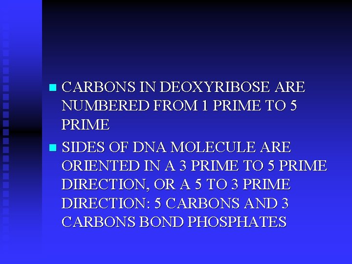 CARBONS IN DEOXYRIBOSE ARE NUMBERED FROM 1 PRIME TO 5 PRIME n SIDES OF