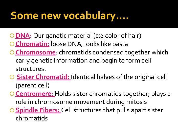 Some new vocabulary…. DNA: Our genetic material (ex: color of hair) Chromatin: loose DNA,
