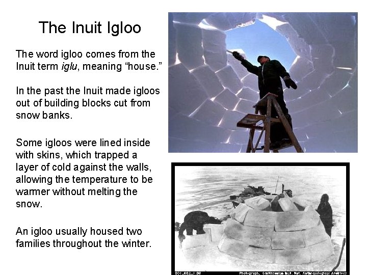 The Inuit Igloo The word igloo comes from the Inuit term iglu, meaning “house.
