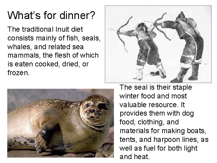 What’s for dinner? The traditional Inuit diet consists mainly of fish, seals, whales, and