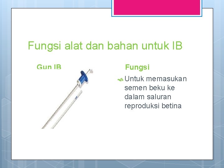 Fungsi alat dan bahan untuk IB Gun IB Fungsi Untuk memasukan semen beku ke