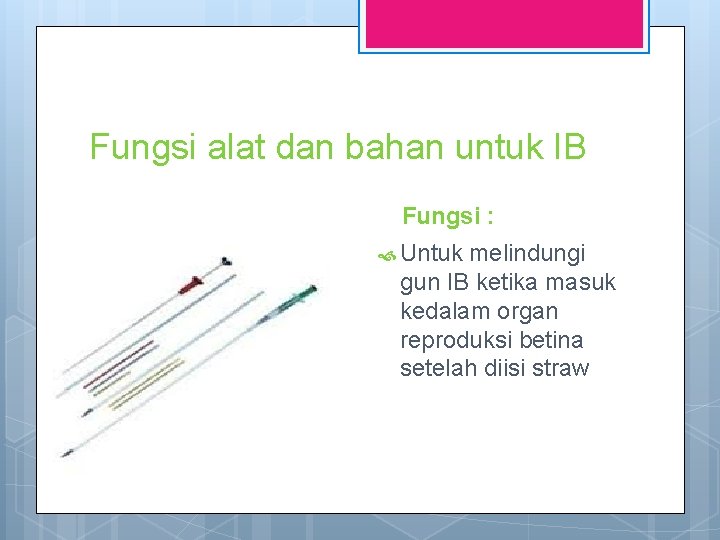 Fungsi alat dan bahan untuk IB Plasticsheet Fungsi : Untuk melindungi gun IB ketika