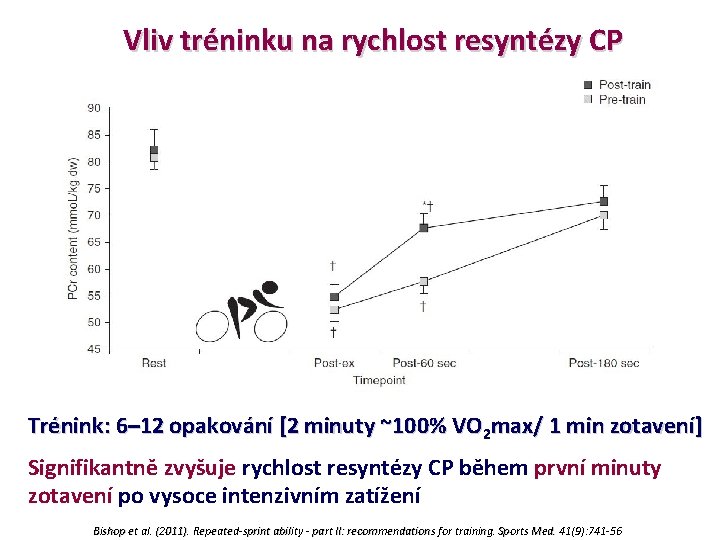 Vliv tréninku na rychlost resyntézy CP Trénink: 6– 12 opakování [2 minuty ~100% VO