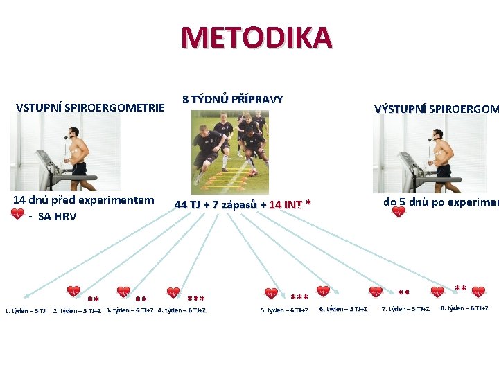 METODIKA VSTUPNÍ SPIROERGOMETRIE 14 dnů před experimentem - SA HRV 1. týden – 5