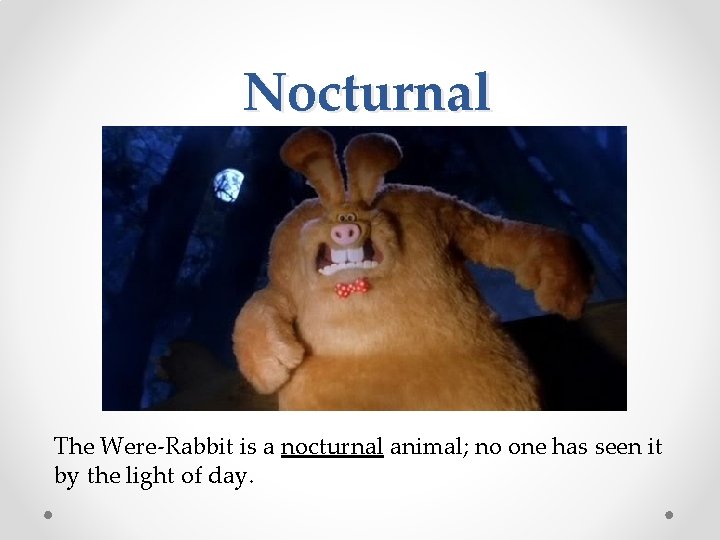 Nocturnal The Were-Rabbit is a nocturnal animal; no one has seen it by the
