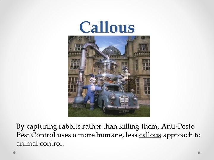 Callous By capturing rabbits rather than killing them, Anti-Pesto Pest Control uses a more