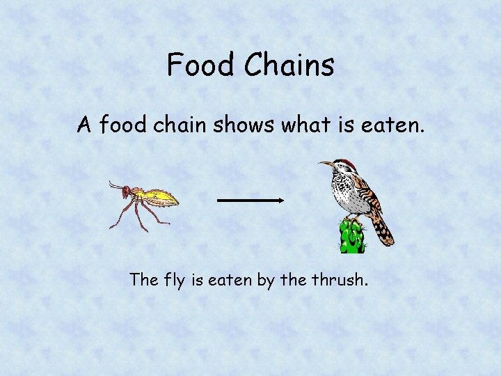 Food Chains A food chain shows what is eaten. The fly is eaten by