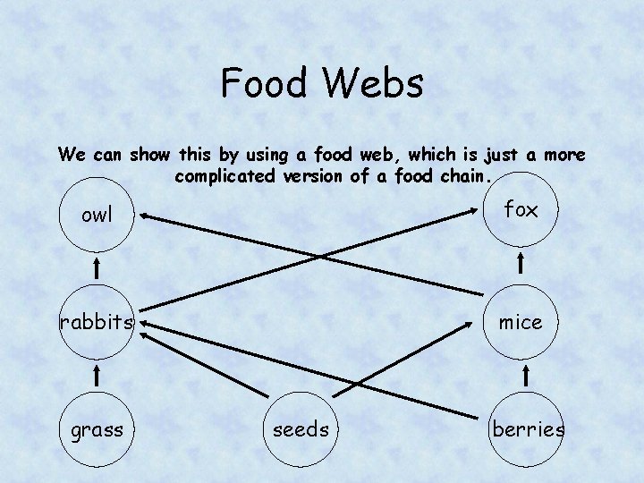 Food Webs We can show this by using a food web, which is just