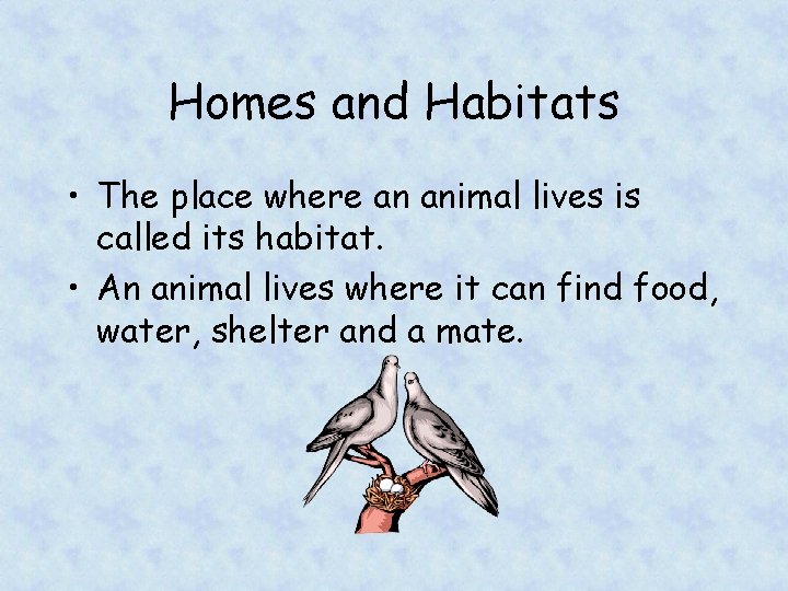 Homes and Habitats • The place where an animal lives is called its habitat.