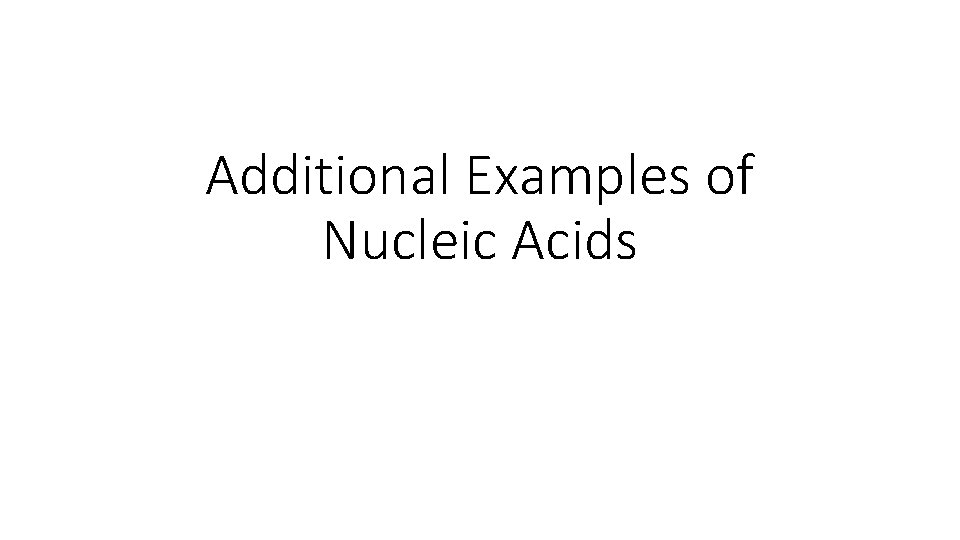 Additional Examples of Nucleic Acids 