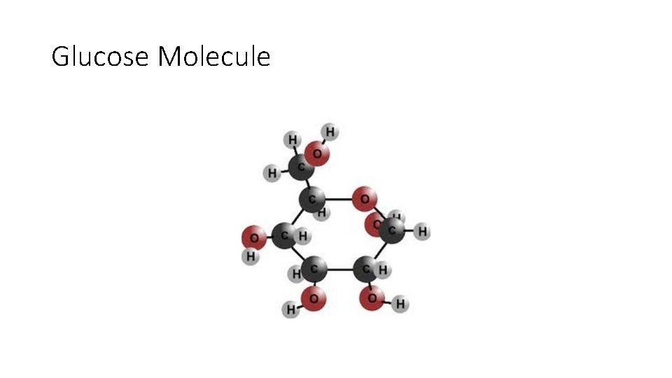 Glucose Molecule 