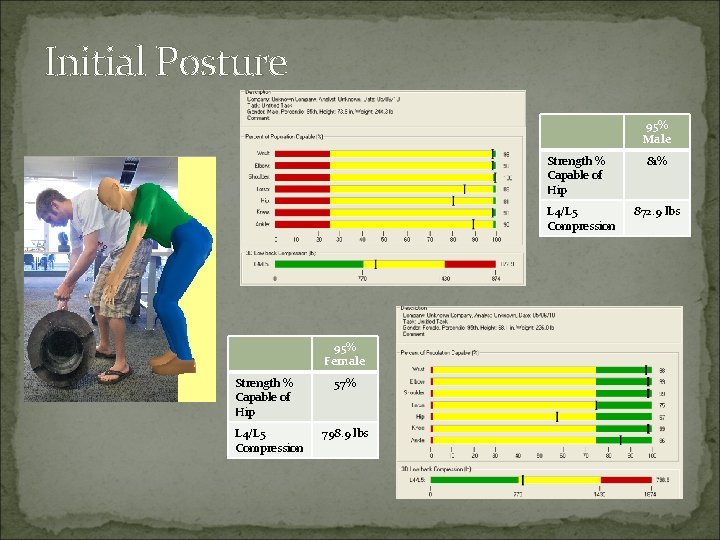 Initial Posture 95% Male Strength % Capable of Hip L 4/L 5 Compression 95%