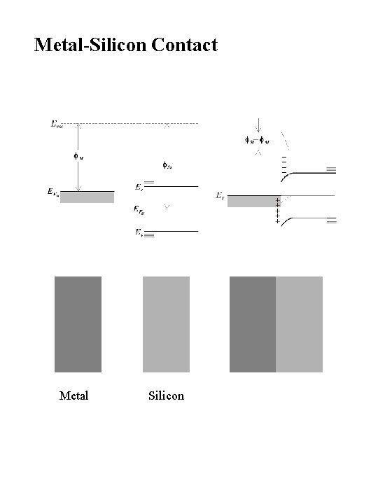 Metal-Silicon Contact Metal Silicon 