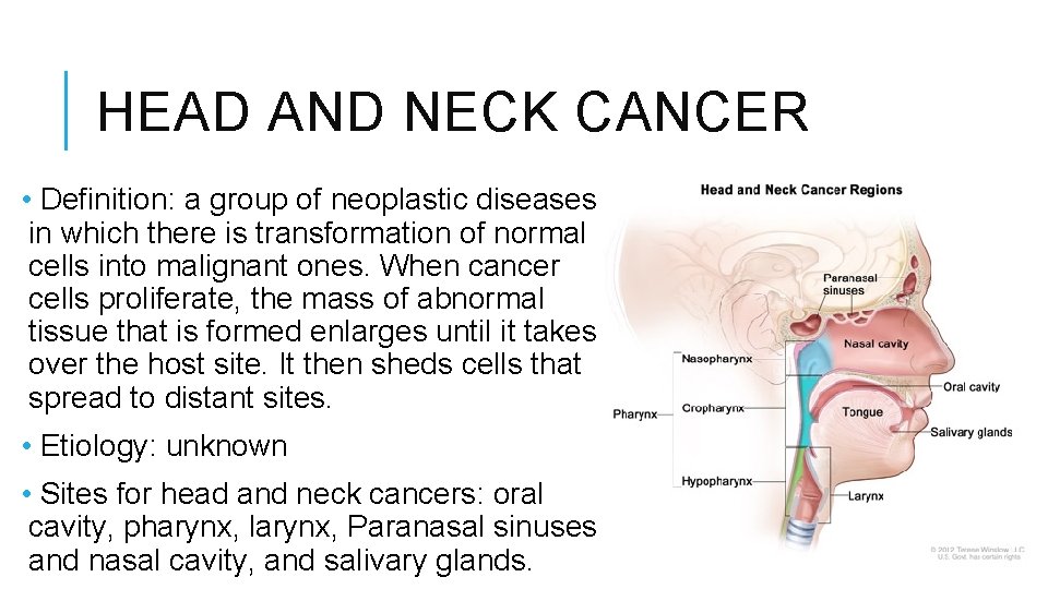 HEAD AND NECK CANCER • Definition: a group of neoplastic diseases in which there