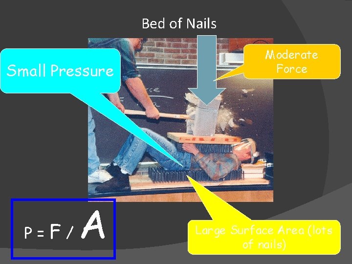Bed of Nails Small Pressure P= F/ A Moderate Force Large Surface Area (lots