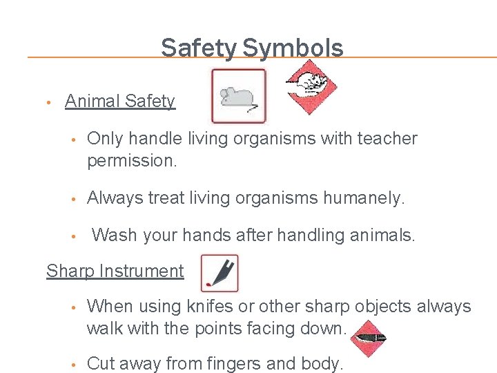 Safety Symbols • Animal Safety • Only handle living organisms with teacher permission. •