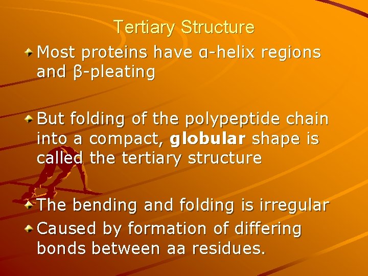 Tertiary Structure Most proteins have α-helix regions and β-pleating But folding of the polypeptide