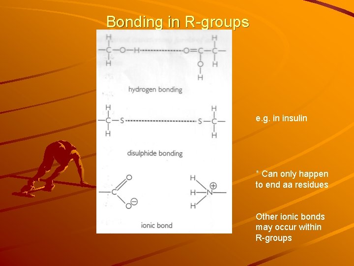 Bonding in R-groups e. g. in insulin * Can only happen to end aa