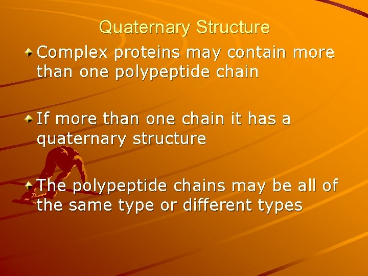Quaternary Structure Complex proteins may contain more than one polypeptide chain If more than