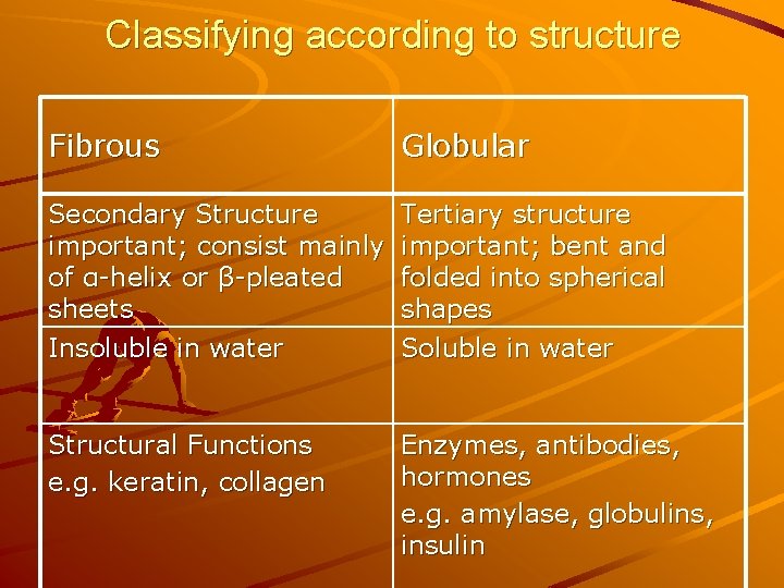 Classifying according to structure Fibrous Globular Secondary Structure important; consist mainly of α-helix or