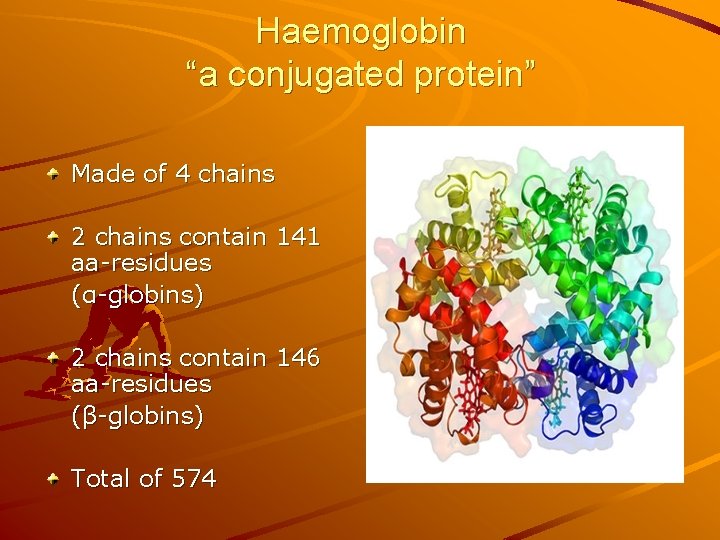 Haemoglobin “a conjugated protein” Made of 4 chains 2 chains contain 141 aa-residues (α-globins)