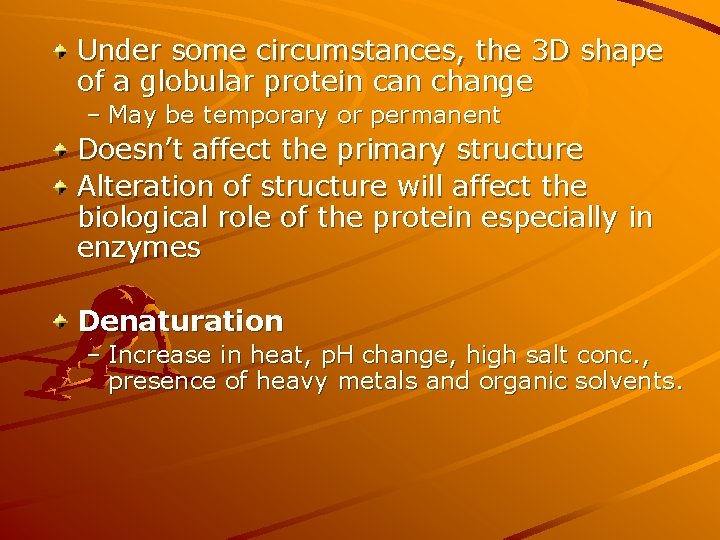 Under some circumstances, the 3 D shape of a globular protein can change –
